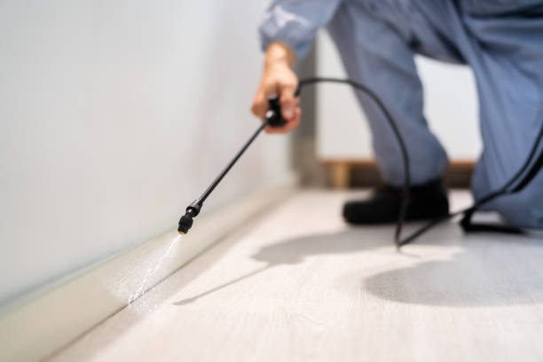 Licensed Pest Control service in Winnsboro, TX - Show Me Pest Control